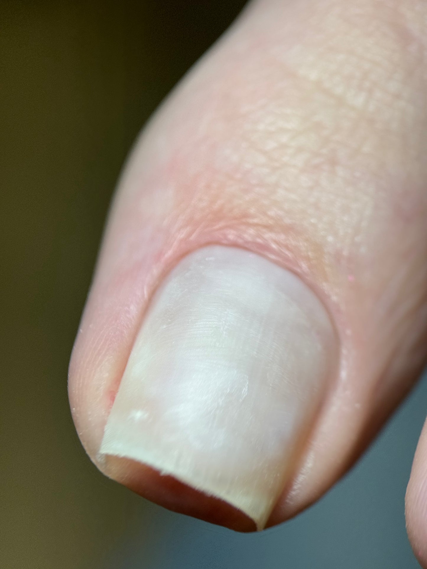 E-file pedicure + gel application OFF-LINE training